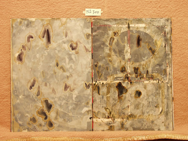 P3032273